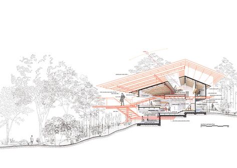 Sectional Perspective Architecture, Perspective Section Architecture, Section Perspective Architecture, Section Perspective, Section Architecture, Perspective Section, Section Drawing Architecture, Woods House, Sectional Perspective