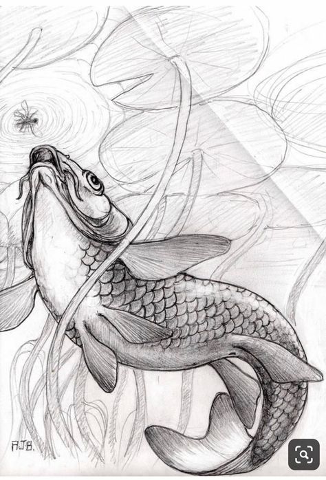 Koi Carp Drawing, Carp Drawing, Underwater Design, Underwater Drawing, Tato Ikan Koi, Koi Fish Drawing, Koi Art, Ikan Koi, Koi Tattoo