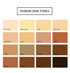 Skin tones color palette Royalty Free Vector Image Skin Tone Chart, Skin Palette, Spring Vector, Human Skin Color, Summer Vector, Beige Skin, Clear Spring, Art Palette, Skin Color Palette