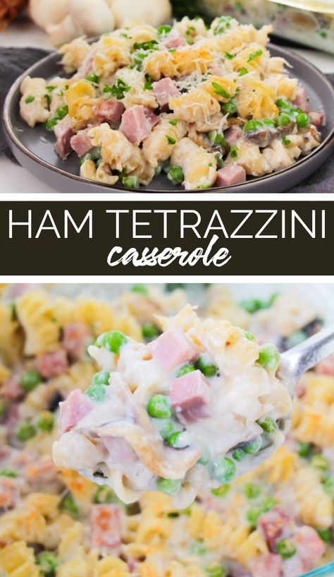 This rich and creamy Ham Tetrazzini is made with simple and inexpensive ingredients in a creamy sauce with al dente pasta, salty ham, and veggies. Spaghetti And Ham Recipes, Ham Tettrazini, Creamy Ham Pasta, Ham And Pasta Casserole, Ham And Pasta Recipes, Ham Tetrazzini Recipe, Ham Tetrazzini, Ham And Pasta, Ham Pasta Recipes