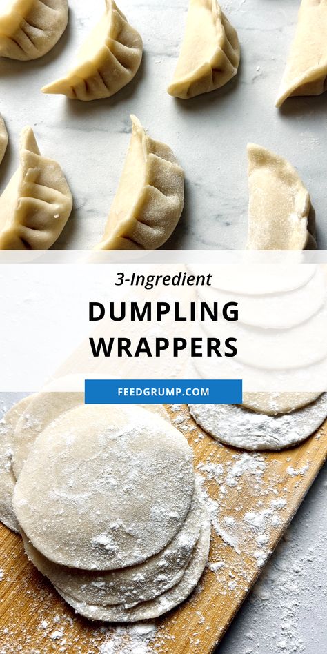 dumpling wrappers and folded dumplings Gyoza Recipe Wrappers, Pot Sticker Wrapper Recipe, Easy Dumpling Wrapper Recipe, Gyoza Dough Recipe, Cream Cheese Dumplings, Dumpling Wrappers Recipe, Pan Fried Dumplings Recipe, Stuffed Dumplings Recipe, Ground Beef Dumplings