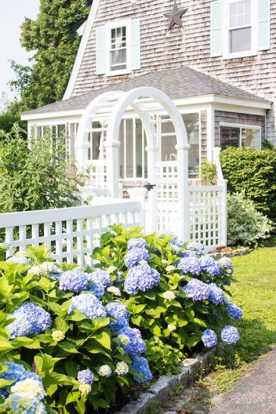 Outdoor Patio Ideas New England, Landscape Ideas With Hydrangeas, Coastal Fence Ideas, Nantucket Fence, Pretty Beach House, Hydrangea Cottage, Nantucket Cottage, Hydrangea Landscaping, Beach House Exterior