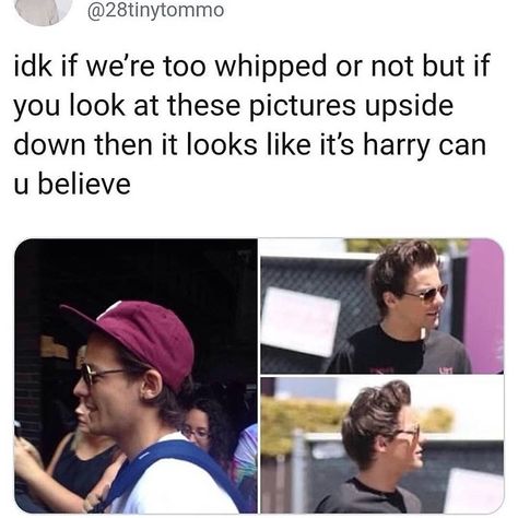 Larry Pictures, Larry Proof, Cordens Angels, One Direction Fandom, One Direction Images, Harry Styles Smile, Just Deal With It, 17 Black, One Direction Humor