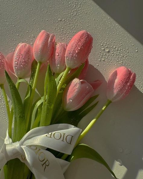 Tulip Flower Pictures, Luxury Flower Bouquets, Lovely Flowers Wallpaper, Tulip Bouquet, Nothing But Flowers, Flowers Bouquet Gift, Cute Flower Wallpapers, Flower Therapy, Beautiful Bouquet Of Flowers