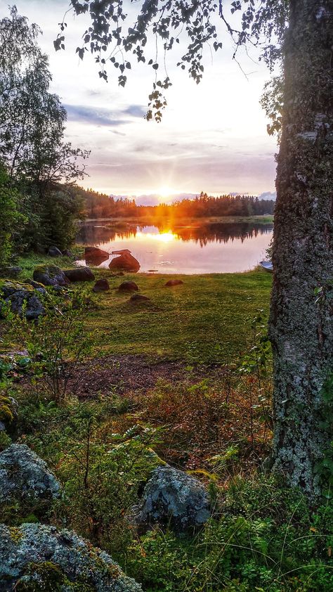 Beauty of finnish pure nature. Beautiful view of ocean and sunset Finland Scenery, Finland Wallpaper, Finland Forest, Finland Landscape, Finland Culture, Finland Nature, Finland Summer, Geography Project, Bernard Arnault