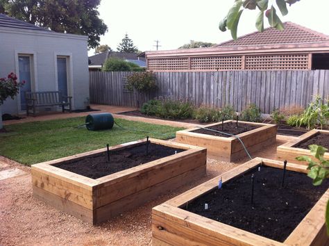 Garden Boxes Ideas, Vege Garden Design, Vege Garden Ideas, Vege Patch, Vege Garden, Fenced Vegetable Garden, Garden Bed Layout, Boxes Ideas, Rustic Landscape