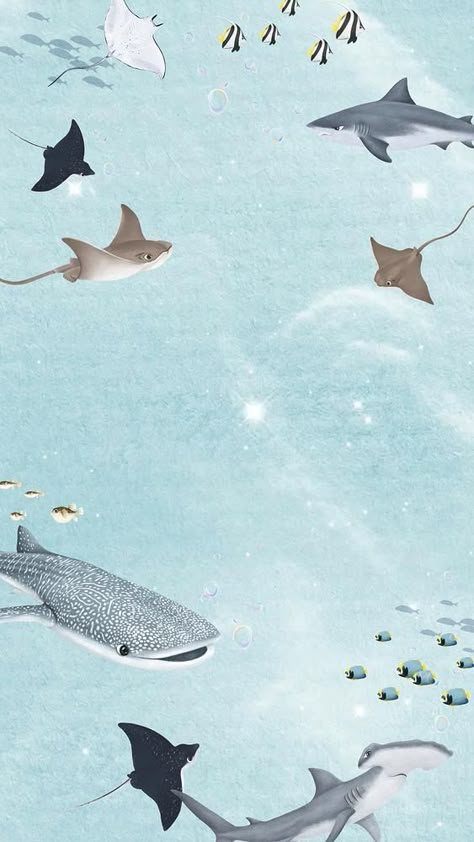 Shark Wallpaper Aesthetic, Whale Wallpaper, Whale Cute, Shark Wallpaper, Sea Life Wallpaper, Image Of Fish, Fish Background, مشروعات العلوم, Wallpaper Aesthetic Wallpaper