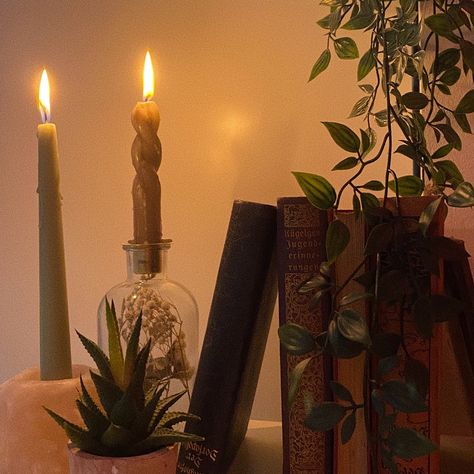 Dark Academia With Plants, Dark Academia Coquette Room, Dark Academia Candles, Dark Academia Plants, Candle Aesthetic Cozy Dark, Candles Aesthetic Dark, Sundown Syndrome, Gabe Core, Alt Academia