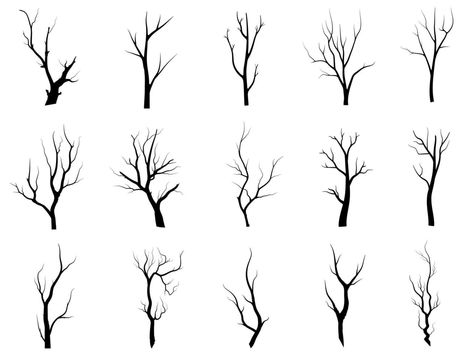 silhouette d'arbre de branche noire isolée sur fond blanc, vecteur dessiné à la main. Hand Drawn Vector, Tree Silhouette, Tree Branches, Vector Art, White Background, How To Draw Hands, Clip Art, Black, Art