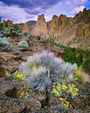 Top 10 Fall color Hikes in the Bend, Oregon area! – Mike Putnam Landscape Photography | Fine Art landscape Images by Bend, Oregon Photographer, Mike Putnam Oregon Landscape, Oregon Living, Beautiful Oregon, Eastern Oregon, Landscape Images, Fine Art Landscape Photography, Desert Life, Oregon Washington, High Desert