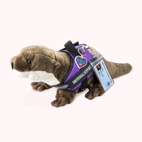 Emotional Support Stuffed Animals, Essa Dog, Stuffed Otter, Otter Stuffed Animal, Sleeping Otters, Aesthetic Plush, Otter Plush, Animal Figurine Toys, Animal Plushies