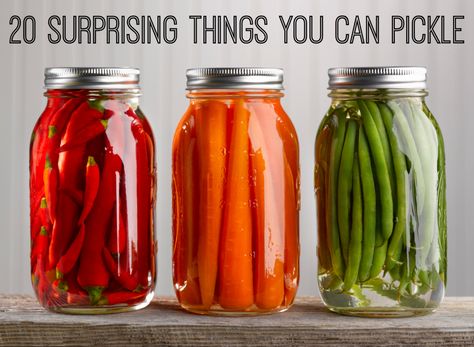 This is a list you're going to want handy. #pickling Refrigerator Pickles, Kinds Of Vegetables, Canning Lids, Homemade Pickles, Pickled Veggies, Pickled Vegetables, Pickling Recipes, Eating Raw, Fermented Foods