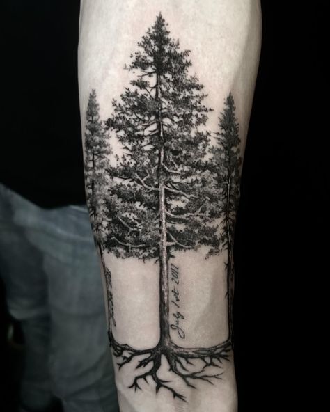 In the embrace of family roots: @jenskinart's signature black and gray realistic trees tattoo stands tall as a tribute to familial bonds. Each branch whispers stories of strength and connection, etched in ink as enduring as the family tree itself. 🌳🖤⁠ Tree Tattoo Upper Arm, Tree Bicep Tattoo, Oak Tree Tattoo Men, Realistic Tree Tattoo, Tree With Roots Tattoo, Troy Tattoo, Root Tattoo, Trees Tattoo, Tree Roots Tattoo