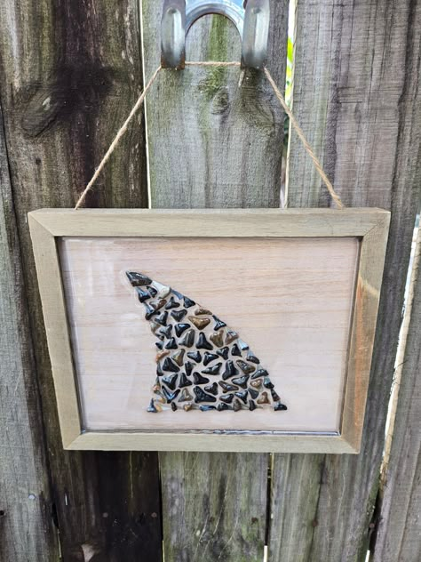 Hand picked prehistoric sharks teeth made into a Shark Fin in a 8 x 10 inch frame that hangs with a resin finish! Things To Do With Shark Teeth, How To Display Shark Teeth, Sharks Teeth Crafts, Shark Teeth Display Ideas, Shark Tooth Art, Shark Teeth Art, Shark Tooth Display, Prehistoric Sharks, Shark Teeth Crafts