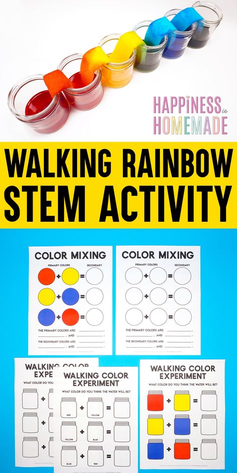 Walking Rainbow STEM Activity for Kids: a simple science experiment that includes colorful science lessons for kids of all ages! Plus, get 16 Bonus FREE printable STEM activities and worksheets! First Grade Stem Activities Free, First Grade Stem Activities, Pre K Stem Activities, Rainbow Stem, Rainbow Stem Activities Preschool, Kinder Stem Activities, Stem Rainbow Activities, First Grade Stem Challenges, Easy Stem Activities Elementary