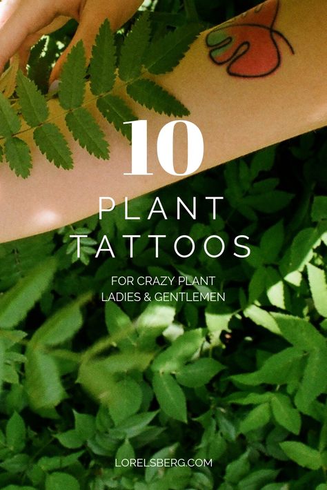 Plant tattoos for plant lovers | Happy Nature Blog | Lorelsberg Plant Lovers Tattoo, Plant Tattoo Women, Houseplant Tattoo Ideas, House Plant Tattoos, Plant Lady Tattoo, Snake Plant Tattoo, Pathos Tattoo, Monstera Plant Tattoo, Houseplant Tattoo