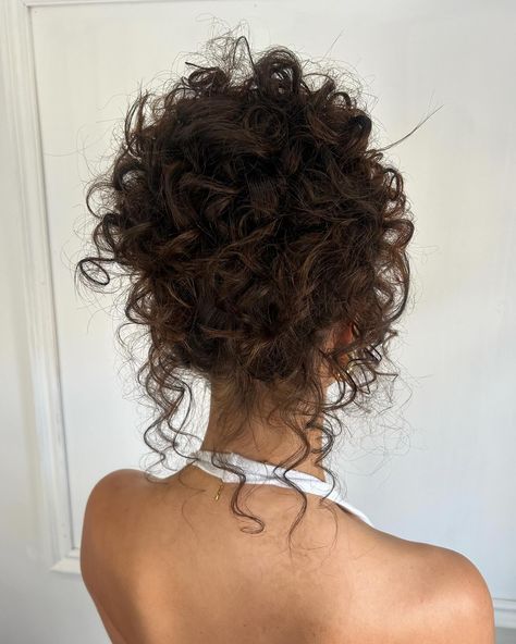 Curly Hair Updo With Braid, Curly Updo Aesthetic, Curl Hair Hairstyles Naturally Curly, Naturally Curly Hair Updo Wedding Bridesmaids, Elegant Hair Updos Classy, Curly Hair Updo Wedding Bridesmaid, Naturally Curly Prom Hair, Curly Hair For Prom, Curly Up Hairstyles