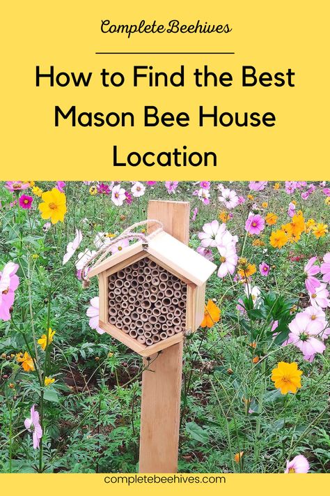 Blue Orchard Mason Bees, Mason Bees Keeping, Bumble Bee House, Diy Bee House, Mason Bee House Diy, Backyard Wonderland, Solitary Bee House, Bee Activity, Bee Items