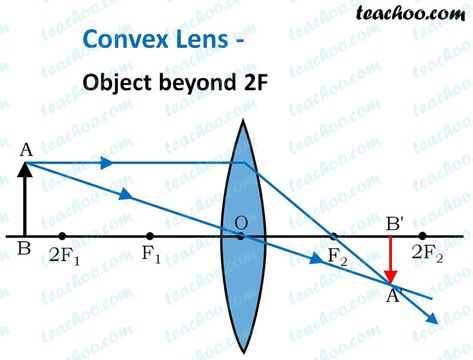 Convex Lens - Ray diagram, Image Formation, Table - Teachoo Convex Lens, Biology Facts, Line Chart