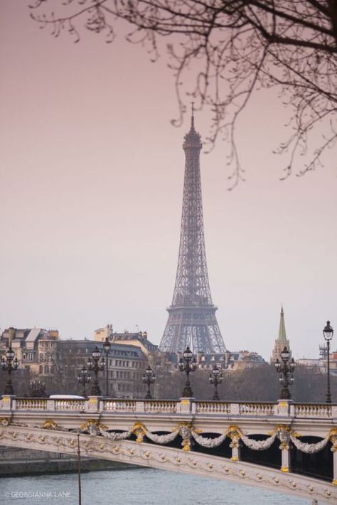 Torre Eiffel Paris, From Paris With Love, Pont Alexandre Iii, City Of Paris, Paris Dream, Capital Cities, Beautiful Paris, Paris Love, Paris Photo