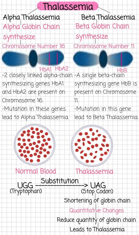 Mendelian Genetics Notes, Hematology Notes, Biotechnology Notes, Pathology Notes, Medical Biology, Biology Jobs, Nursing School Studying Cheat Sheets, Neet Notes, Learn Biology