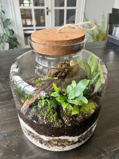 How to Create a Closed Terrarium - The Thrifted Planter What To Do With Jars Ideas, How To Terrarium, How To Make A Terrarium In A Jar, How To Build A Terrarium, How To Make A Terrarium, Jar Terrarium Diy, Botanical Crafts, Bat Decorations On Wall, Terrarium Closed