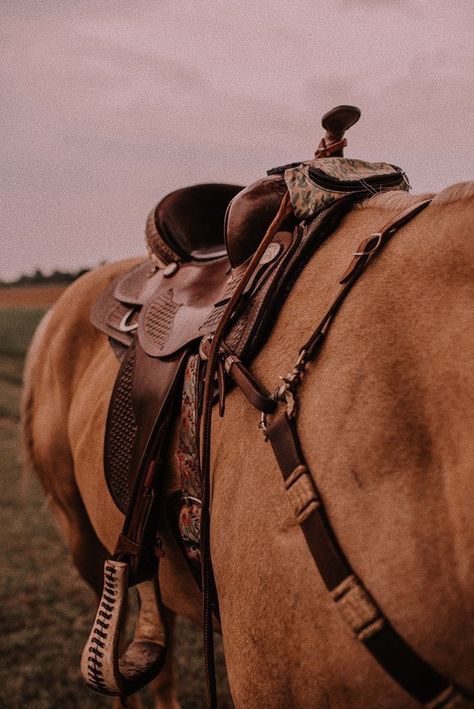 Horseback Riding Western, Horseback Riding Aesthetic Western, Horse Ranch Aesthetic, Aesthetic Horse Wallpaper, Horse Draw, Horses Drawing, Aesthetic Horse, Drawing Horses, Drawing Horse