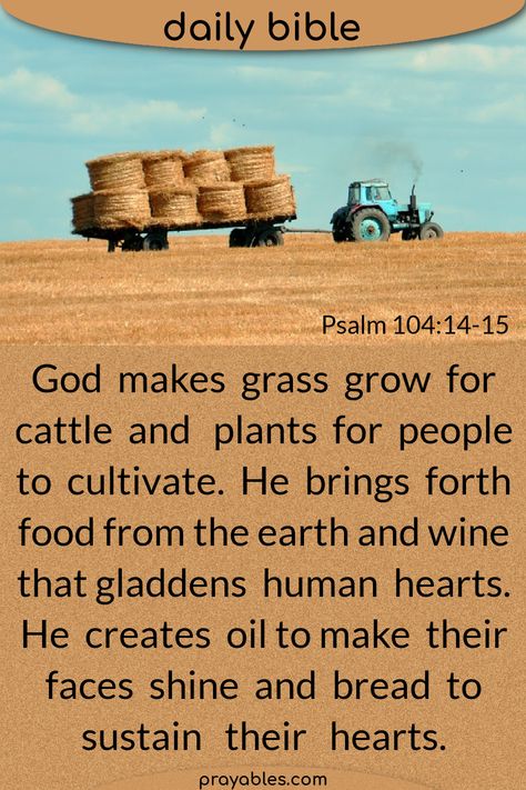 God makes grass grow for cattle and plants for people to cultivate. He brings forth food from the earth and wine that gladdens human hearts. He creates oil to make their faces shine and bread to sustain their hearts. ~Psalms 104:14-15 *Want more favorite psalms quotes, and bible quotes ? God's Power lives in King David quotes. Find more on prayables.com Psalms Quotes Encouragement, David Quotes, Human Hearts, Psalms Quotes, Psalm 104, Quotes Encouragement, Picture Quote, Book Of Psalms, Bible Pictures