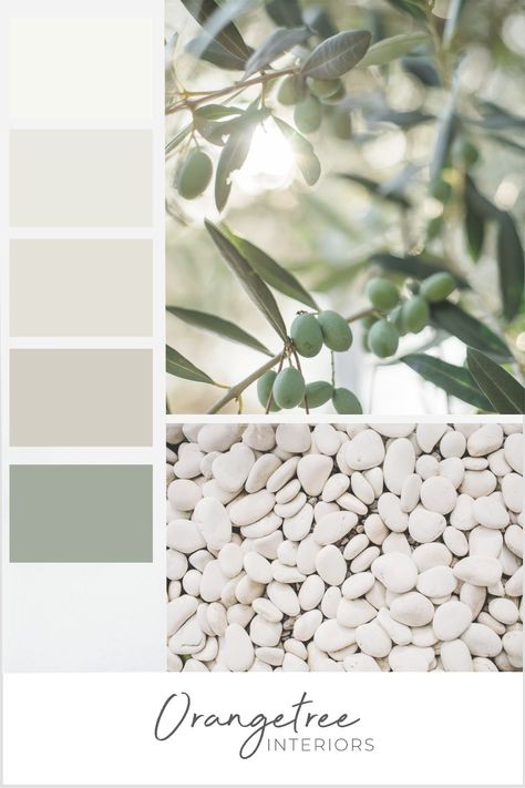 Check out this neutral, fresh, and earthy paint palette colour scheme with a subtle pop of sage green! It creates a serene, calming, and natural vibe in any interior space! Check out more on our blog! Paint palette, colour scheme, earth tones Couleur Feng Shui, Paint Color Guide, House Color Palettes, Perfect Paint Color, Green Color Schemes, Green Palette, House Color Schemes, Green Colour Palette, Paint Colour