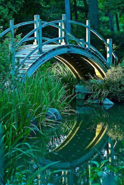 Moon Bridge, Japanese Landscape, Landscape Designs, Tea Garden, Japanese Tea, A Bridge, Private Garden, Landscape Architect, Japanese Garden