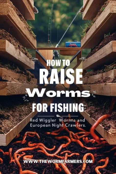 Start raising your own worms for fishing with our easy DIY guide. This project is ideal for anglers who want a reliable and cost-effective source of bait. Learn how to set up, care for, and maintain your worm farm with our expert tips and tricks. With a constant supply of fresh worms, you'll always be prepared for your next fishing adventure. Get started now and improve your fishing success! #DIYWormFarm #FishingBait #WormRaising #FishingHacks #BaitFarm Worm Farm Diy, Cricket Farming, Red Wiggler Worms, Red Wigglers, Fishing Worms, Worm Composting, Worm Farm, Homesteading Skills, Permaculture Gardening