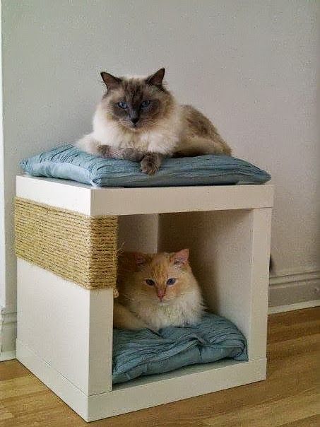 Pet Friendly Decorating • Ideas & great tutorials! Cat Cubby, Cubby Diy, Katt Hus, Katt Diy, Katt Grejer, Kat Diy, Chat Diy, Cubby Hole, Cat Hacks