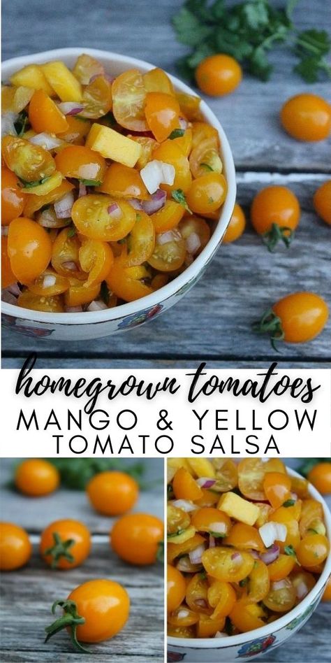 Yellow Salsa Recipe, Salsa With Yellow Tomatoes, Yellow Tomato Recipes Salsa, Recipes For Yellow Tomatoes, Recipes With Yellow Tomatoes, What To Make With Yellow Tomatoes, Yellow Tomato Salsa Canning, Yellow Tomato Sauce Recipes, Yellow Grape Tomato Recipes