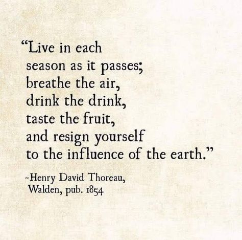 Henry David Thoreau ❤️ - Poetry for the Soul | Facebook Nature Poetry, Henry David Thoreau Quotes, Concord Massachusetts, Thoreau Quotes, July Quotes, Quotes Nature, Stoicism Quotes, Quote Of The Week, Henry David Thoreau