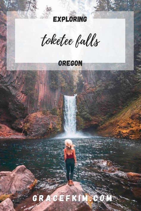 Toketee Falls, Things To Do In Oregon, Oregon Adventures, Tillamook Oregon, Klamath Falls Oregon, West Coast Travel, Pacific Northwest Travel, Travel Oregon, Oregon Life