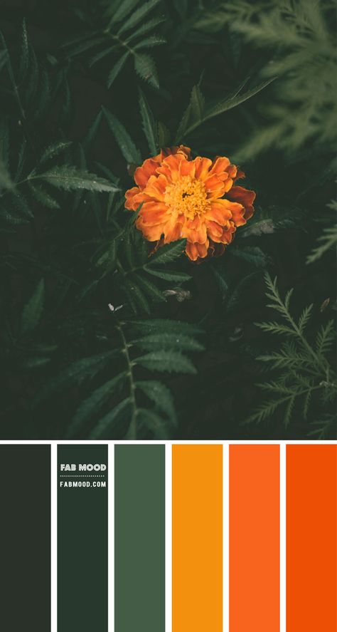 Color inspiration images Archives 1 - Fab Mood | Wedding Colours, Wedding Themes, Wedding colour palettes Emerald Brown Color Palette, Emerald Green Orange Color Palette, Emerald Green Copper Color Palette, Warm Green Color Palette, Orange And Green Bedroom, Green And Orange Bedroom, Emerald Color Palette, Forest Green Color Palette, Emerald Green And Orange