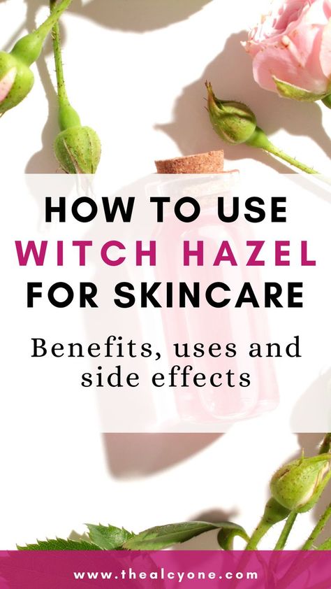 What Is Witch Hazel, Benefits Of Witch Hazel, Witch Hazel Acne, Witch Hazel For Skin, Witch Hazel Uses, Cystic Acne Remedies, Thayers Witch Hazel, Different Types Of Acne, Witch Hazel Toner