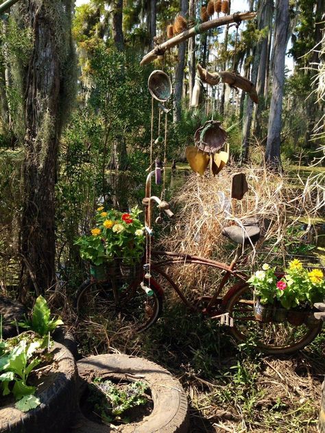 Misty's garden on American horror story Misty Day Aesthetic, Lily Rabe, Witchy Garden, Ahs Coven, Horror Series, American Horror Story Coven, Silver Springs, Ryan Murphy, Season Of The Witch