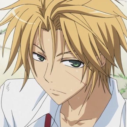 usui 🖇 maid sama !! icon Your Biggest Fan, Maid Sama, You Love Me, Fun Games, Anime Character, Anime Icons, Blonde, Fan, Hair