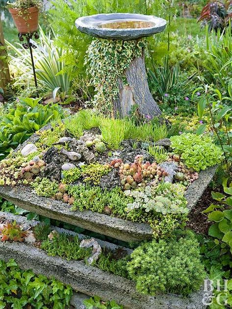 Containers made of a portland cement mixture lend texture and interest to a garden. #gardeninspo #gardening Hypertufa Trough, Rustic Workshop, Garden Troughs, Front Landscape, Alpine Garden, Bohemian Garden, Rock Garden Design, Pretty Garden, Cottage Garden Design