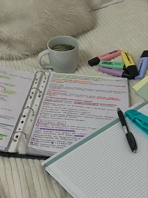 Revision Motivation, Studying Motivation, Studying Aesthetic, Study Mode, Effective Study Tips, Study Pictures, Study Organization, Studying Life, Academic Motivation