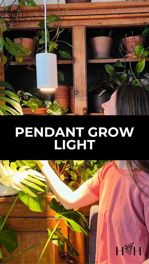 Grow Light For Indoor Plants, Decorative Grow Lights For Houseplants, Pendant Grow Light, Grow Lights Diy, Garden Setup, Plant Corner, Plant Room, Growing Plants Indoors, Plant Lighting