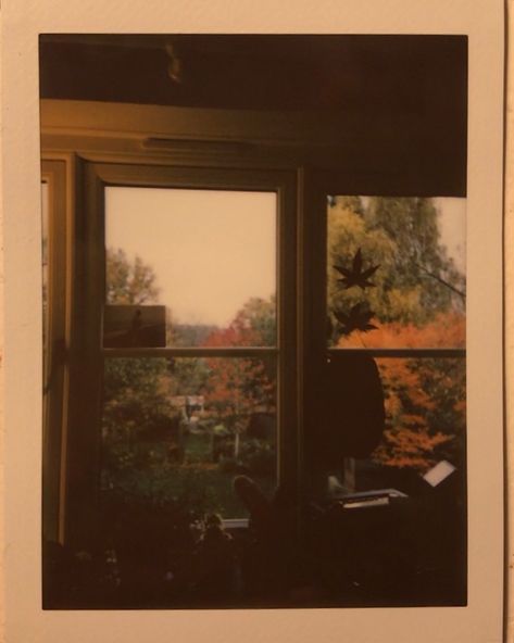 Autumn Aesthetic Playlist Cover, Fall Aesthetic Album Cover, Spring And Fall Aesthetic, Fall Aesthetic Playlist Cover, Fall Album Cover Spotify, 70s Autumn Aesthetic, Fall Aesthetic Poster, Autumn Aesthetic Phone Layout, Fall Indie Aesthetic