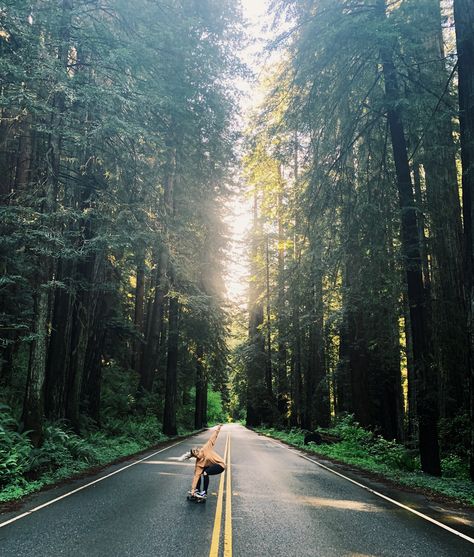 Extreme Climbing, Arbor Skateboards, Girl Skater, Skateboard Girl, Skater Girl, Forest Illustration, Longboards, Senior Photos, Arbor