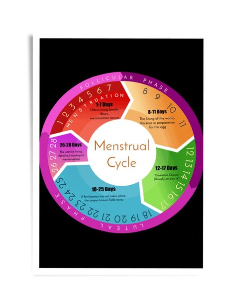 This is an infographic detailing what happens to the uterus day to day. also explains the 4 different phases of the menstrual cycle. Period Stages, Menstrual Cycle Phases, Menstruation Cycle, The Menstrual Cycle, 17 Day, Day To Day, To Day, Cover Pages, Fertility