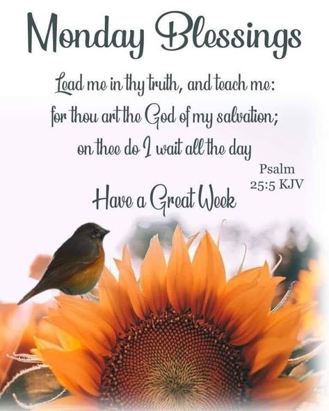 Happy Monday Blessings, Morning Verses, Monday Morning Blessing, Morning Scripture, Blessing Quotes, Blessed Week, Monday Blessings, Beautiful Scripture, Blessed Quotes