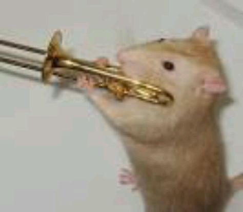 Trombone playing mouse Dave Fisher, Trombone Aesthetic, Trombone Art, Band Trombone, Trombone Music, Marching Band Jokes, Musician Humor, Funny Rats, Band Jokes