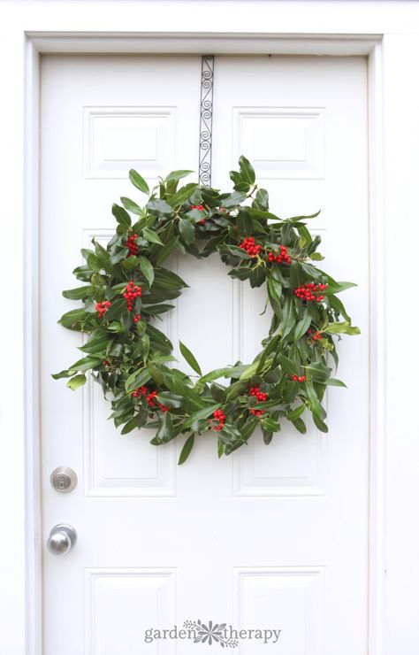 This easy-to-make fresh holly wreath dotted with bright red berries is a traditional way to decorate for Christmas. See how to make one at home in this DIY. Foraged Wreath, Twig Crafts, Fresh Wreath, Living Wreath, Garden Therapy, Holiday Greenery, Holly Wreath, Evergreen Wreath, Christmas Idea