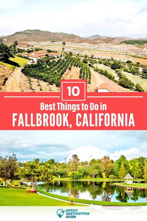 Want to see the most incredible things to do in Fallbrook, CA? We’re FamilyDestinationsGuide, and we’re here to help: From unique activities to the coolest spots to check out, discover the BEST things to do in Fallbrook, California - so you get memories that last a lifetime! #fallbrook #fallbrookthingstodo #fallbrookactivities #fallbrookplacestogo Fallbrook California, California Resorts, Estate Garden, Family Destinations, San Diego County, Travel Information, Diy Videos, Wine Country, Horseback Riding