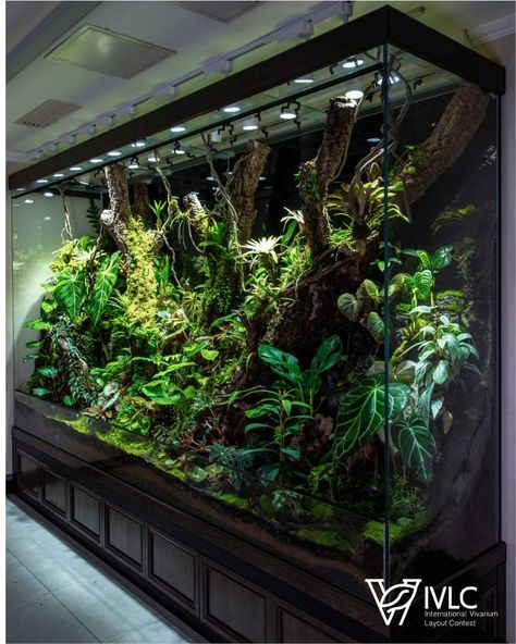 Outdoor Terrarium, Paludarium Ideas, Tank Terrarium, Frog Terrarium, Kolam Air, Wall Aquarium, Amazing Aquariums, Fish Tank Terrarium, Aquascape Design